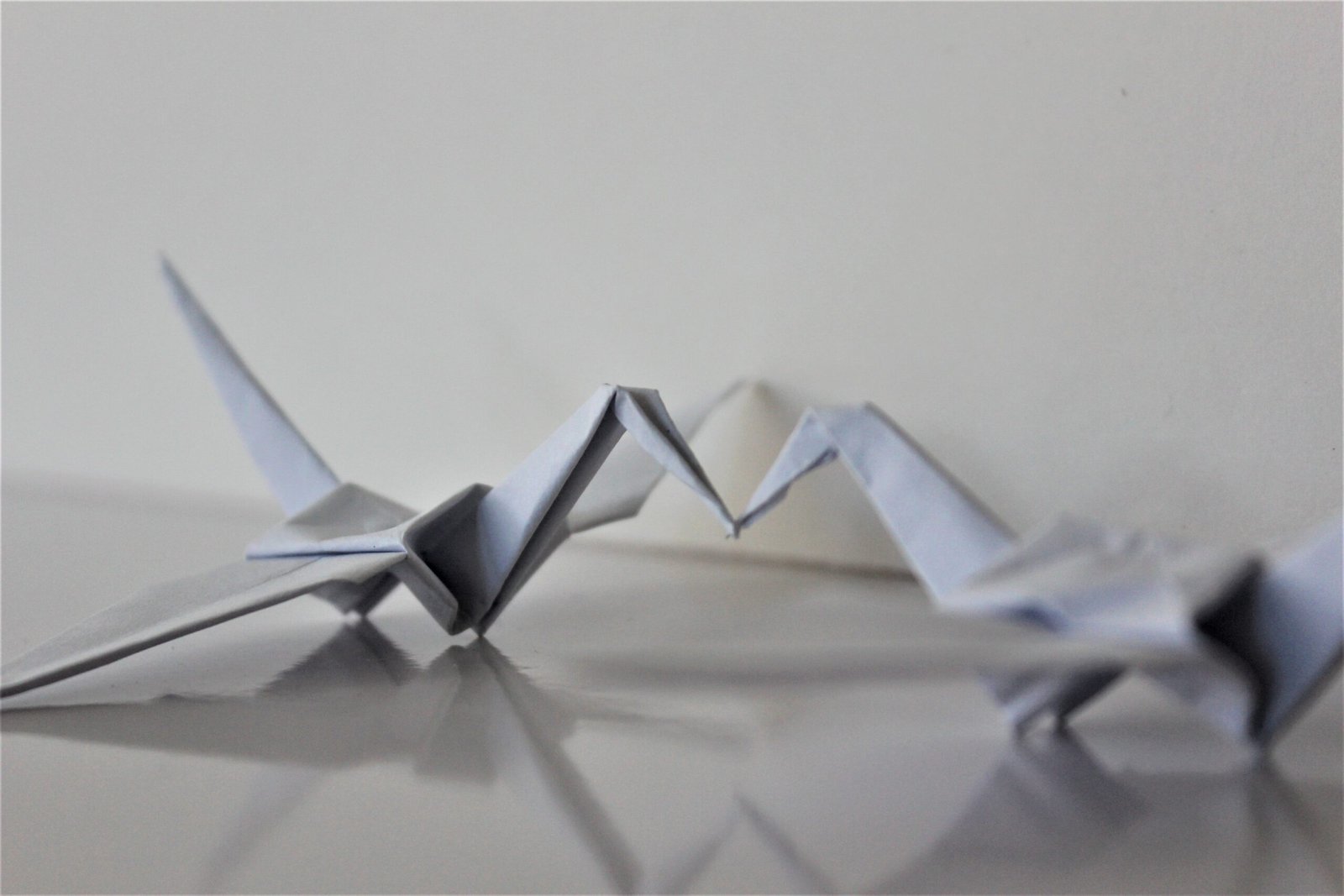 Unlock Your Creativity: How To Make Money With An Etsy Store